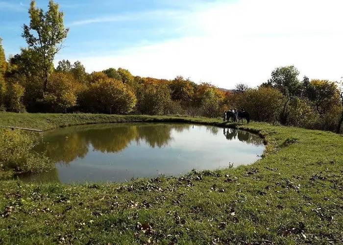 Forgacova Horaren * Abelova